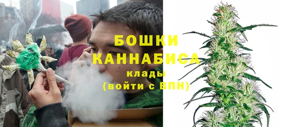 молекула духа Зеленодольск